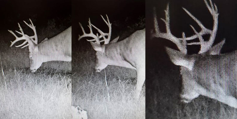 Eagle Lakes Outfitters - Pike County Illinois Whitetail Deer Hunting at  it's Finest